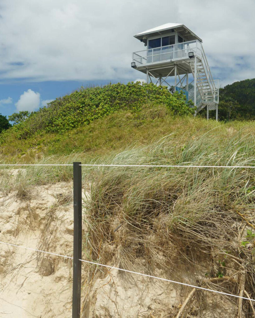 BRIBIE