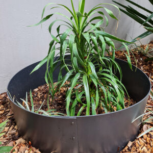 Water Saver Tree Ring