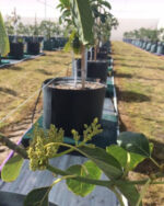 Poly Sheet Fencing Product by EnduraPost