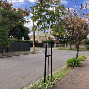 Tree Stakes
